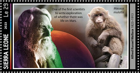 Alfred Russel Wallace (1823–1913), Macaca mulatta