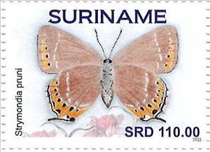 Stamp, Black Hairstreak (Strymondia pruni), Suriname,  , Butterflies and Moths