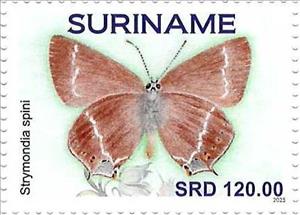 Stamp, Blue spot Hairstreak (Strymondia spini), Suriname,  , Butterflies and Moths