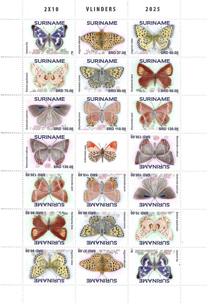 Butterflies