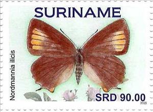 Stamp, Ilex Hairstreak (Nordmannia ilicis), Suriname,  , Butterflies and Moths