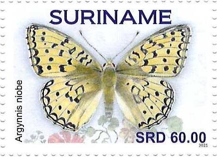 Niobe Fritillary (Argynnis niobe)
