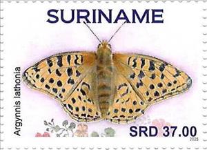 Stamp, Queen of Spain Fritillary (Argynnis lathonia), Suriname,  , Butterflies and Moths