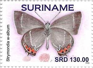 Stamp, White-letter Hairstreak (Strymondia w-album), Suriname,  , Butterflies and Moths