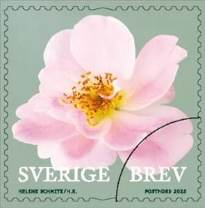 Stamp, Roses, Sweden,  , Flowers, Plants (Flora), Roses