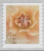 Stamp, Dahlias, United States of America,  , Flowers