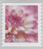 Stamp, Dahlias, United States of America,  , Flowers