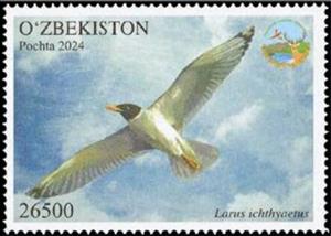 Stamp, Larus ichthyaetus, Uzbekistan,  , Animals (Fauna), Birds