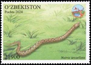Stamp, Natrix tessellata, Uzbekistan,  , Animals (Fauna), Reptiles, Snakes