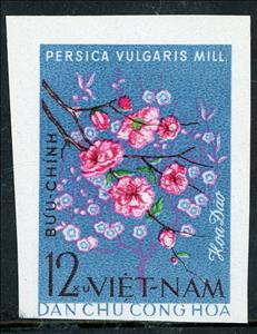 Stamp, Peach Blosom (Persica vulgaris), Vietnam,  , Flowers, Plants (Flora)