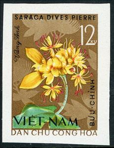 Stamp, Saraca Dives (saraca Dives Pierre), Vietnam,  , Flowers, Plants (Flora)