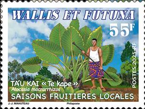 Stamp, Giant Taro (Alocasia macrorrhizos), Wallis and Futuna,  , Agriculture, Plants (Flora)
