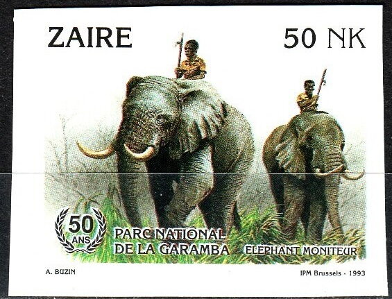 African Elephant (Loxodonta africana)