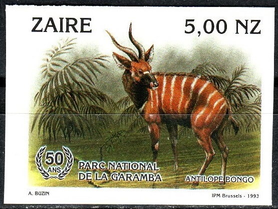 Bongo (Tragelaphus eurycerus)