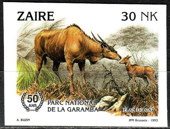 Cape Eland (Taurotragus oryx oryx)