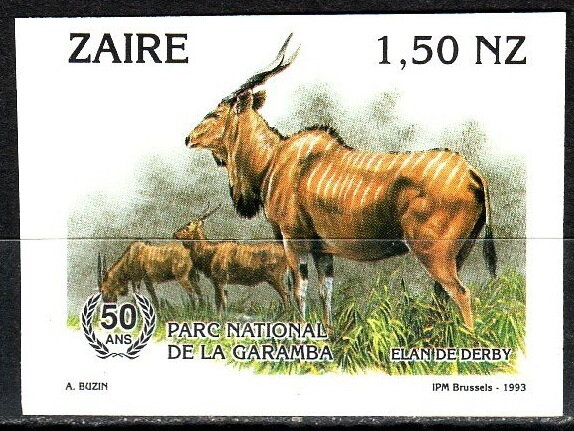 Giant Eland (Taurotragus derbianus)