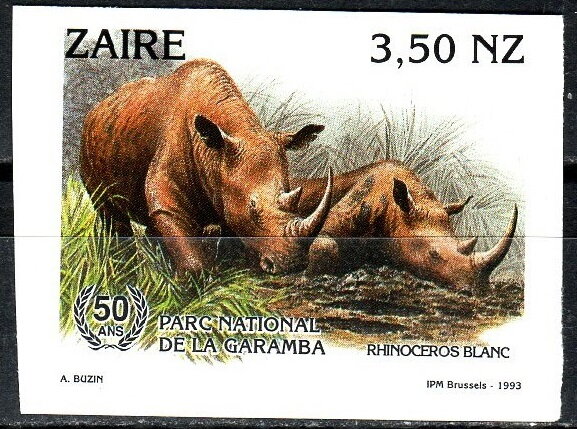 White Rhinoceros (Ceratotherium simum)