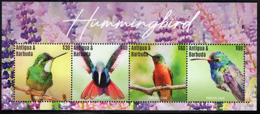 Hummingbird Sheet