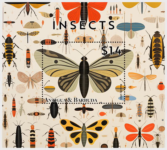 Insects