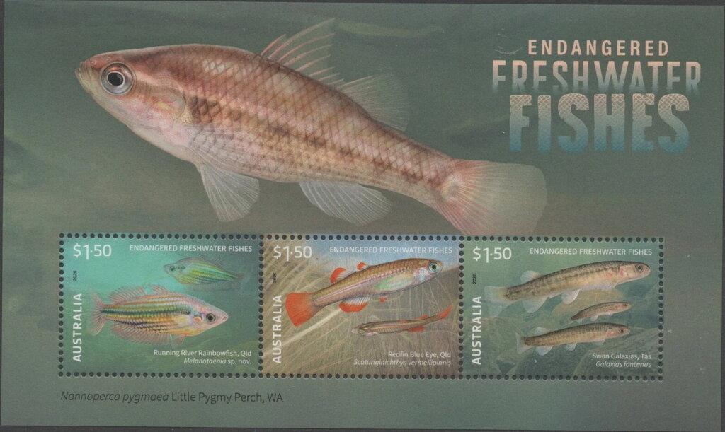 Endangered Freshwater FIshes
