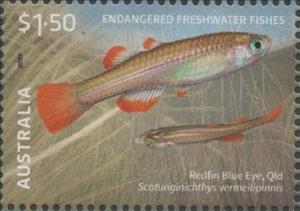 Stamp, Redfin Blue Eye (Scaturiginichthys vermeilipinnis), Australia,  , Animals (Fauna), Fishes, Sea Life