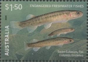 Stamp, Swan Galaxias (Galaxias fontanus), Australia,  , Animals (Fauna), Fishes, Sea Life
