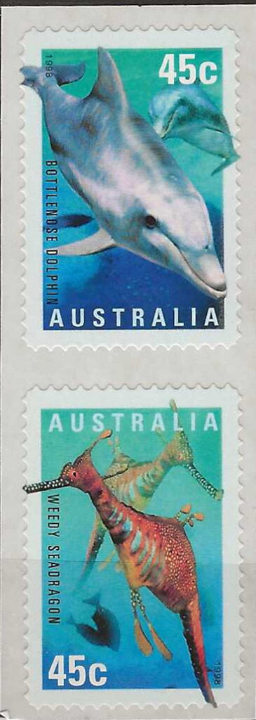 Weedy Seadragon /Common Bottlenose Dolphin