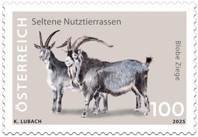 Blobe Goat