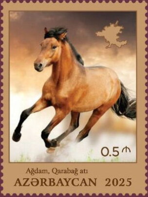Karabakh Horse