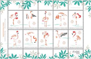 Mini Sheet, American flamingo (Phoenicopterus ruber), Bonaire,  , Flamingos