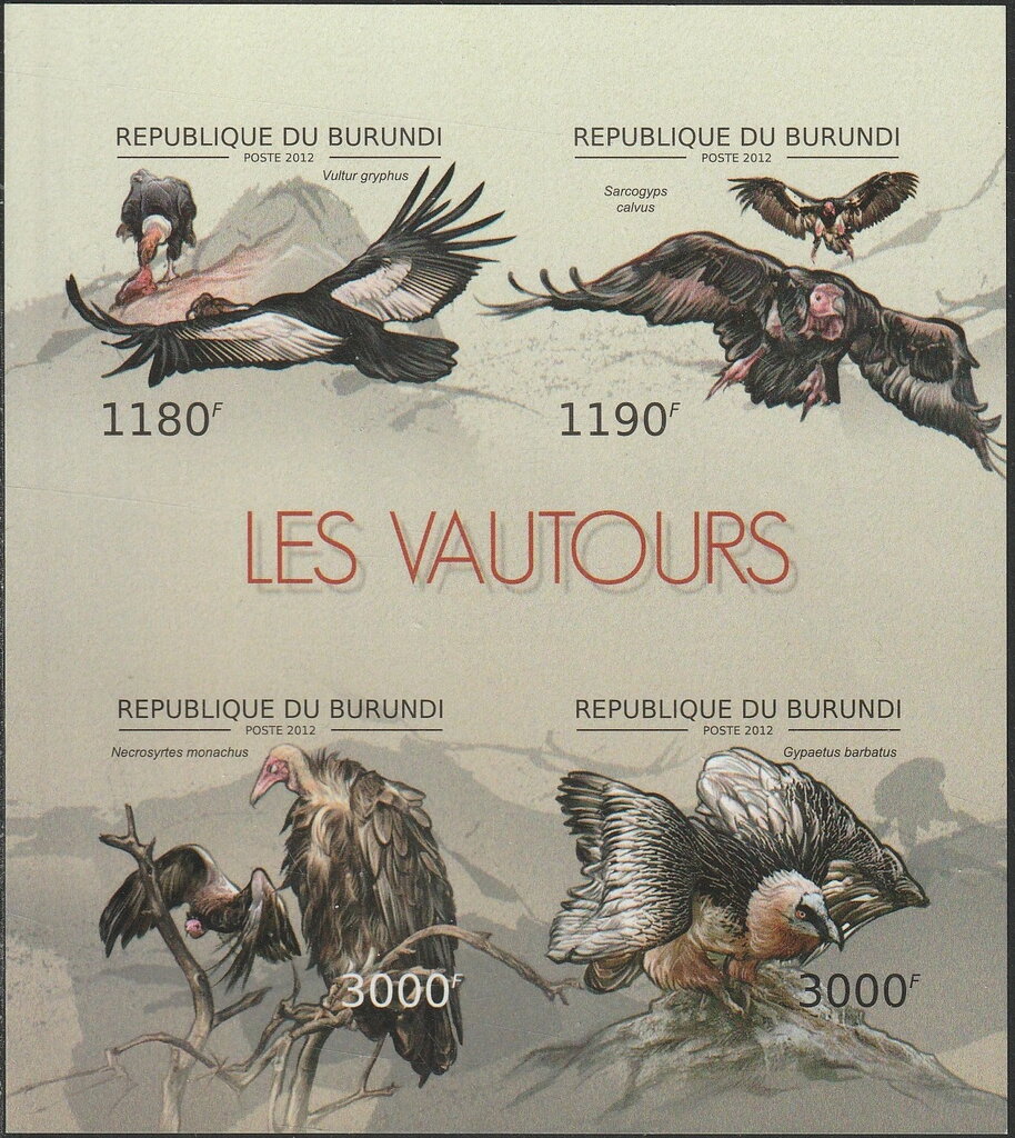 Vultures