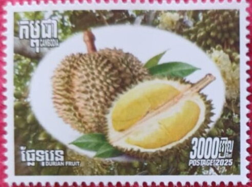 Durian (Durio sp.) Fruit