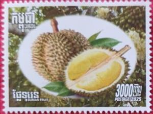 Stamp, Durian (Durio sp.) Fruit, Cambodia,  , Fruits and Berries