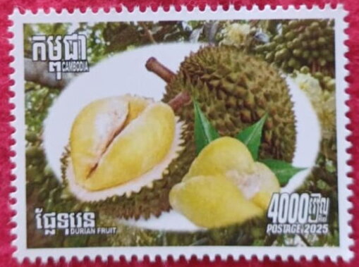 Durian (Durio sp.) Fruit