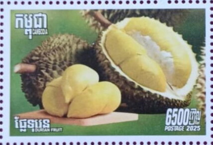 Durian (Durio sp.) Fruit