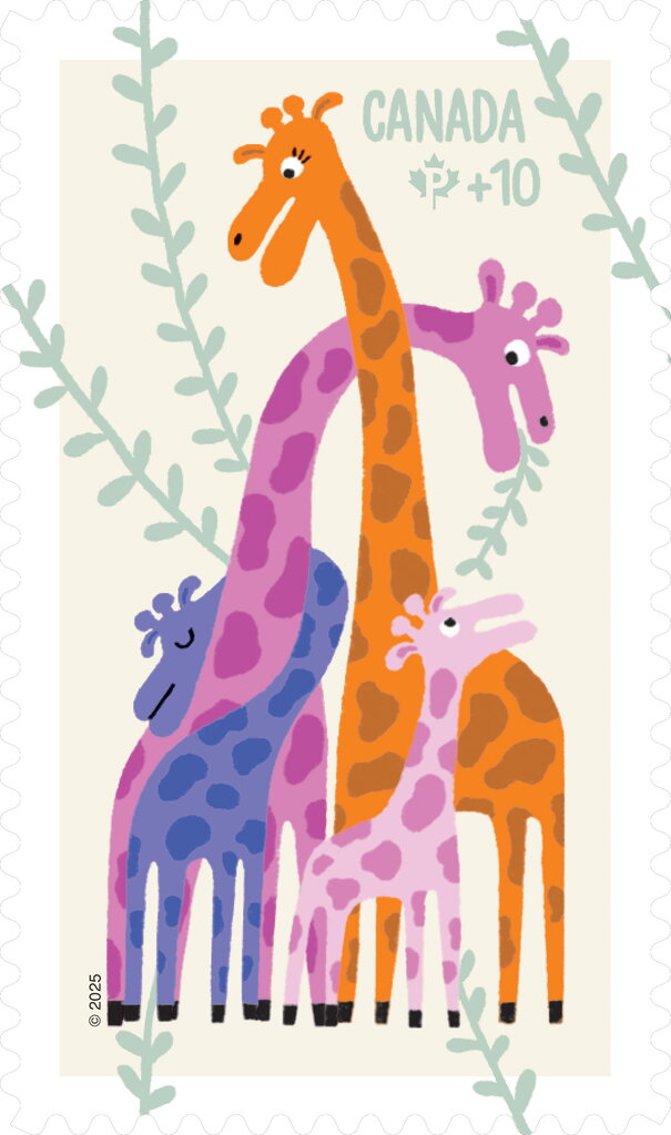 Community Foundation : Giraffes
