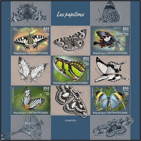 Butterflies