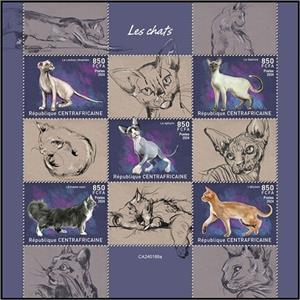 Mini Sheet, Domestic Cats, Central African Republic,  , Animals (Fauna), Cats, Mammals