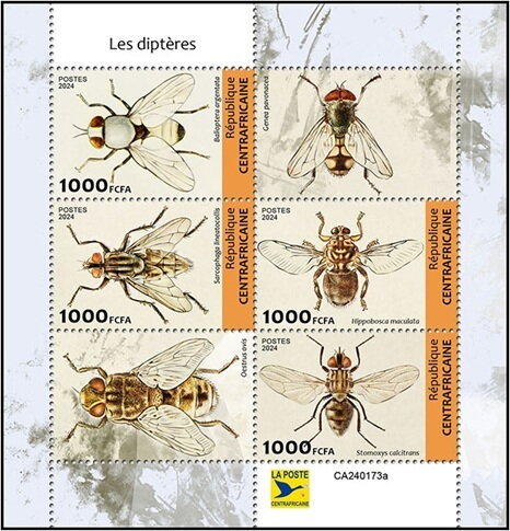 Flies