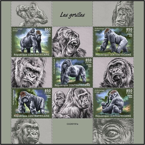 Gorillas