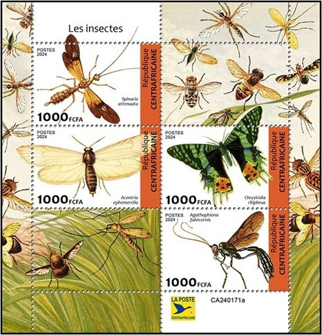 Insects