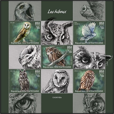 Owls