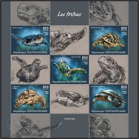 Turtles