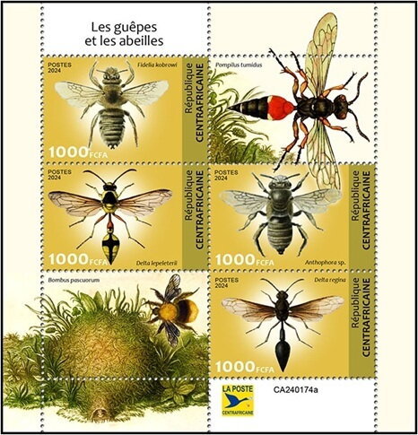Wasps and Bees