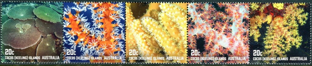 Corals of Cocos Islands