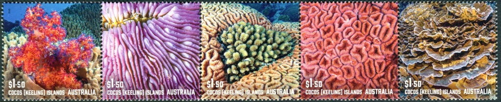Corals of Cocos Islands