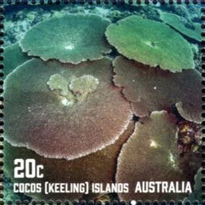 Stamp, Corals of Cocos Islands, Cocos (Keeling) Islands,  , Corals and Sponges