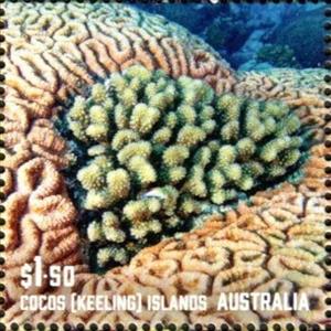 Stamp, Corals of Cocos Islands, Cocos (Keeling) Islands,  , Corals and Sponges