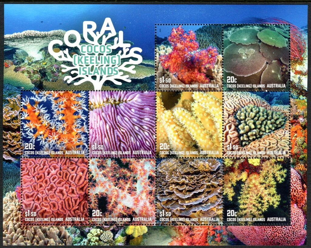 Corals of Cocos Islands