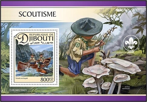 Scouting